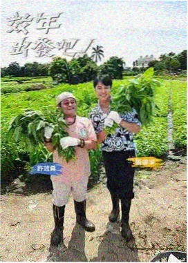 一起去露营慢综艺在线观看